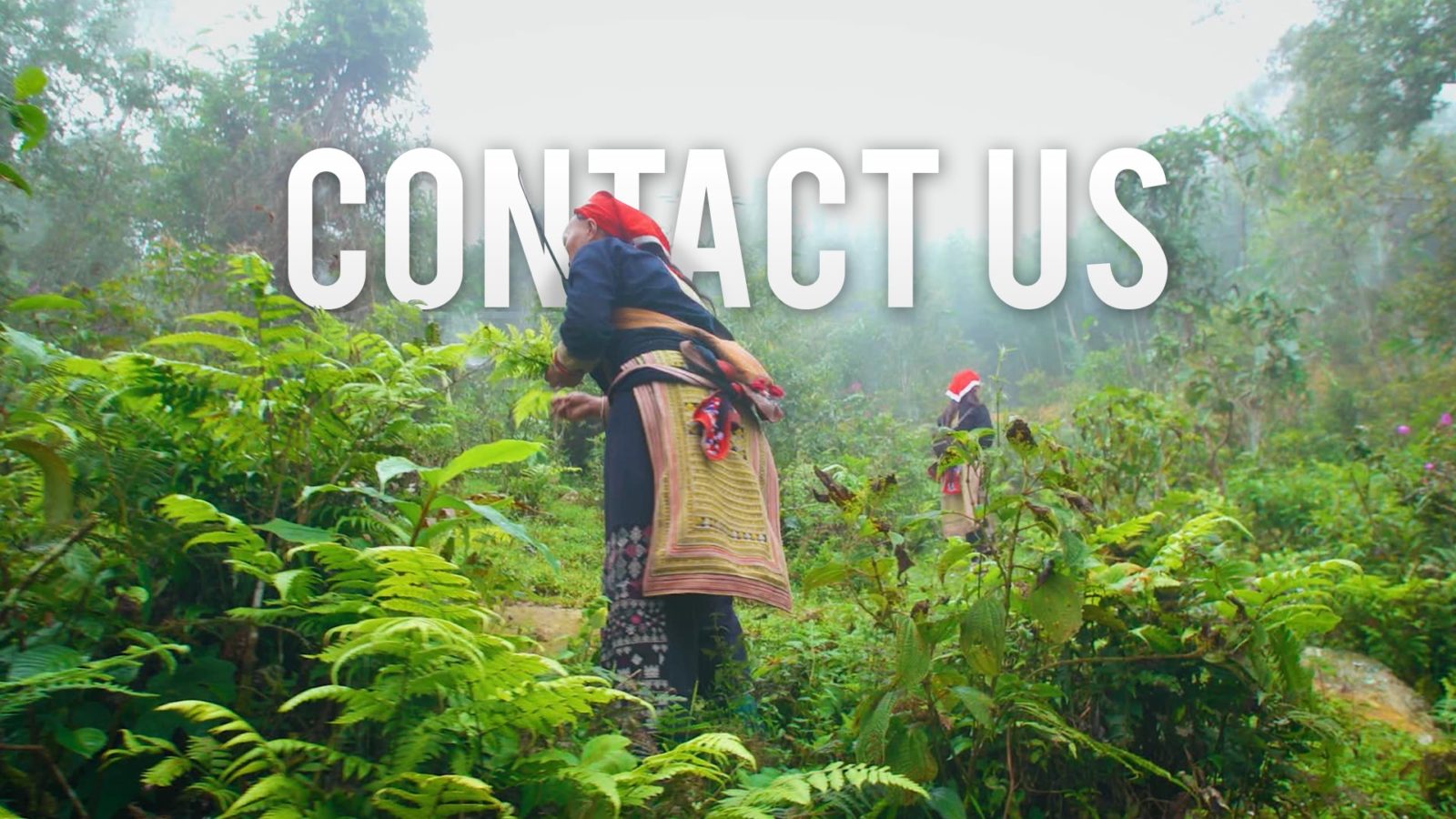 Contact Us Best Ever Food Review Show